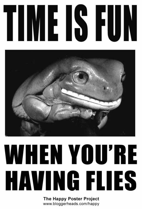 el tiempo es divertido cuando tienes moscas.jpg